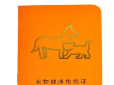宠物店经营所需证件及注意事项（详解宠物店开业必备证件，助你成功经营宠物店）
