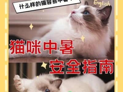 猫中暑的危险及预防措施（了解易中暑的猫、预防与急救方法）