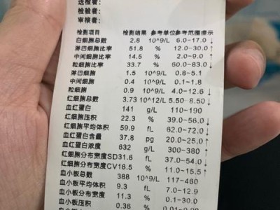 探究细小后多久能被检查出来的秘密（揭开细小隐藏的时间之谜）