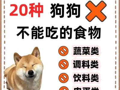 狗狗不吃不喝多久会死的真相揭秘（狗狗禁食多久会危及生命，专家解答关键问题）