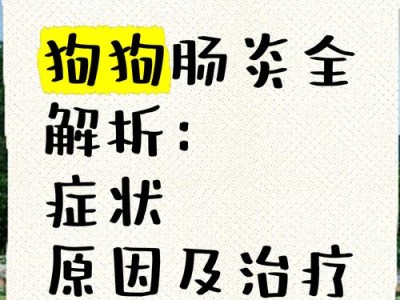 泰迪肠炎症状大揭秘（了解泰迪肠炎的主要症状及预防措施）