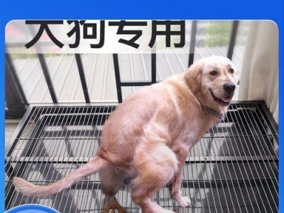 适合家庭的温和大狗品种（与小孩相处友善，无攻击性的大狗选择）