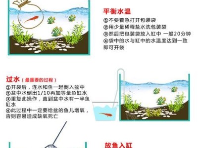 红头蛇颈龟的饲养方法（了解饲养要点，做好爱宠的保护工作）