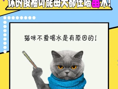 猫咪为什么老是要喝水？（揭秘猫咪喝水的原因和行为特征）