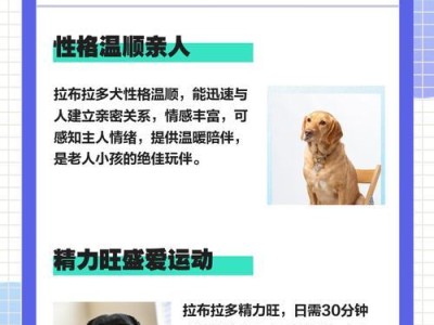 拉布拉多幼犬喂养指南（细致关爱拉布拉多幼犬，健康快乐成长）