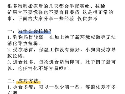 幼犬吐了多久能吃饭？（幼犬吐的原因及饮食调理方法）