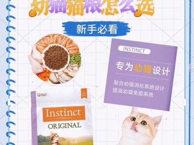 幼猫饲养指南（关爱你的小猫咪从细节开始）