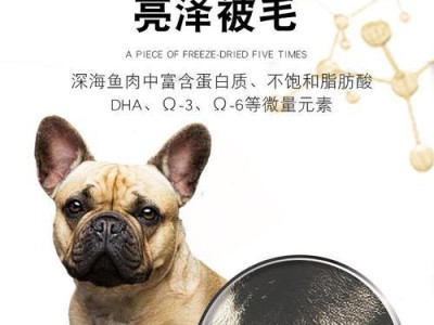 以英斗吃什么狗粮好（为您的宠物选择适合的英斗狗粮）