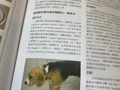 狗狗发烧了，你知道多久才能好吗？（了解狗狗发烧的持续时间及治疗方法）