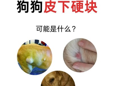 狗狗生孩子前的症状——宝贝即将到来的信号（了解你的毛孩将要迎来新生命的症状）