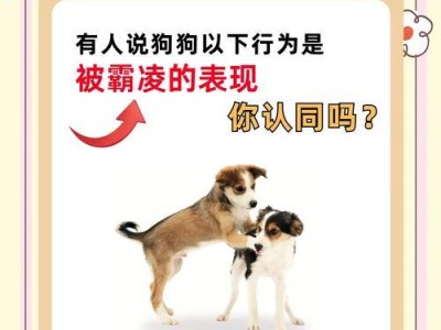 揭秘狗狗闯祸和搞破坏的五大原因（了解为什么狗狗会拆家，帮助改善不良行为）