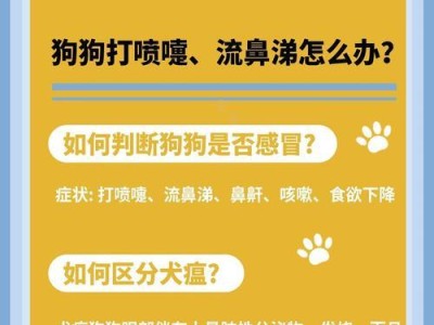 狗狗的活泼和流鼻涕问题（探寻狗狗流鼻涕的原因及有效处理方法）