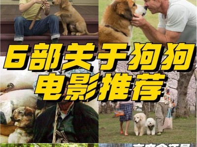 中国电影中关于狗的经典之作（忠诚伴侣的无尽情感）