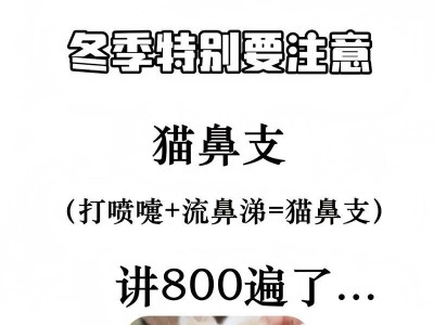 猫鼻支检查费用及相关注意事项（了解猫鼻支检查的费用和需要注意的事项，确保宠物的健康）
