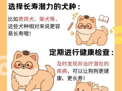 犬消化完全需要多长时间？（揭秘犬消化系统中的奥秘与时长）