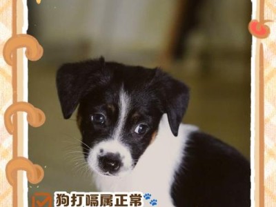 狗狗打嗝的成因与解决方法（探究狗狗打嗝背后的6大原因，了解吃太饱对狗狗打嗝的影响）
