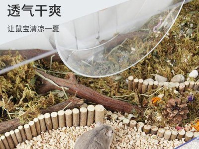 如何选择适合仓鼠夏天垫料的关键因素（夏季仓鼠垫料选购指南）