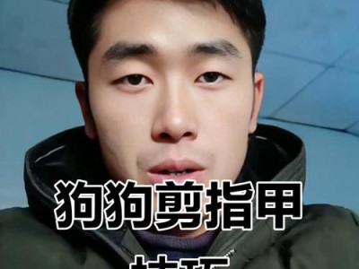 狗狗为什么需要剪指甲？（剪指甲的过程中常见问题及解决方法）